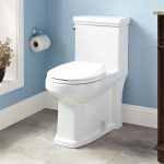 Conventional toilet in a tiny house 