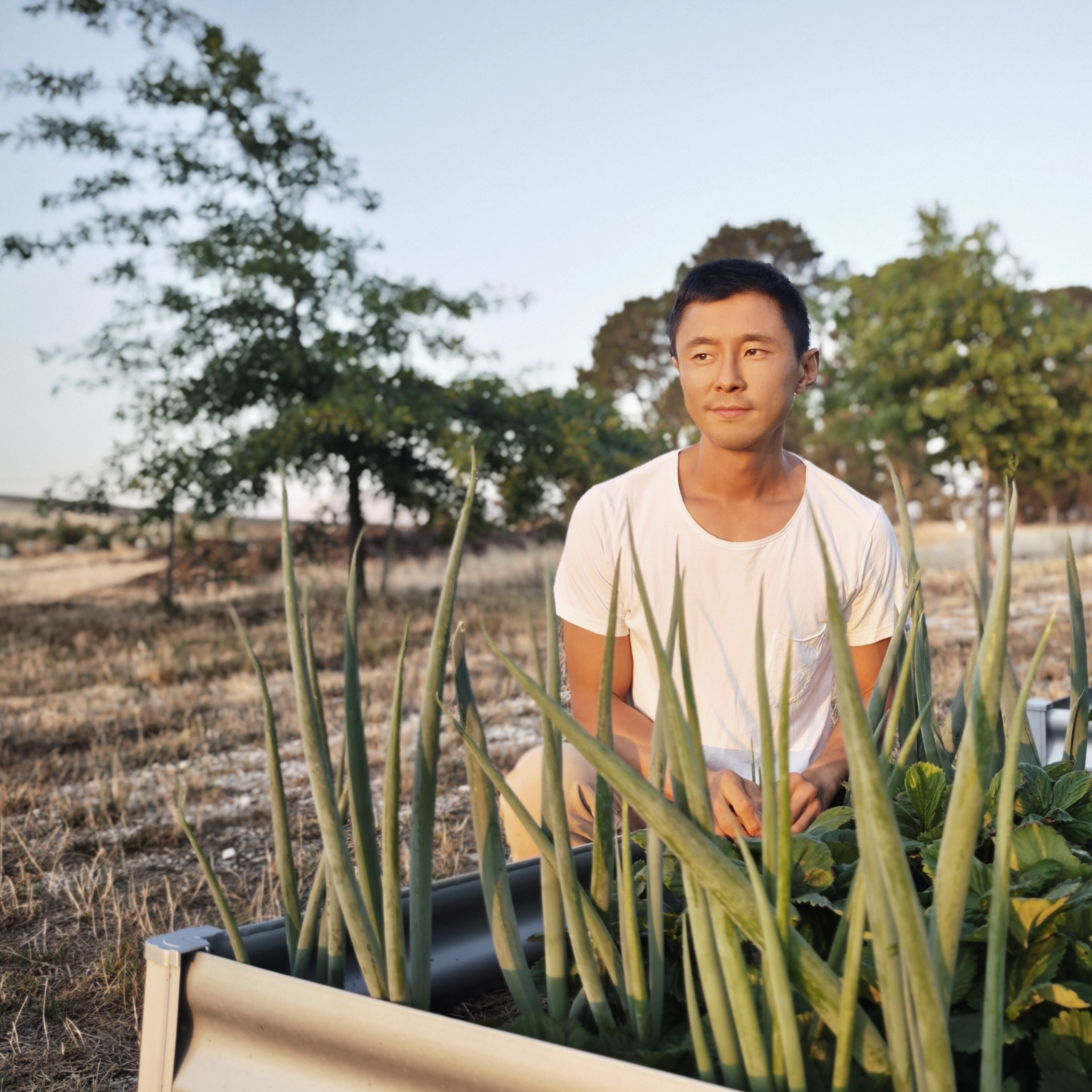 Financial freedom in a tiny house